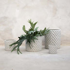 Cloudy Medium från Vålamagasinet Krukor och vaser, DBKD, Image-2