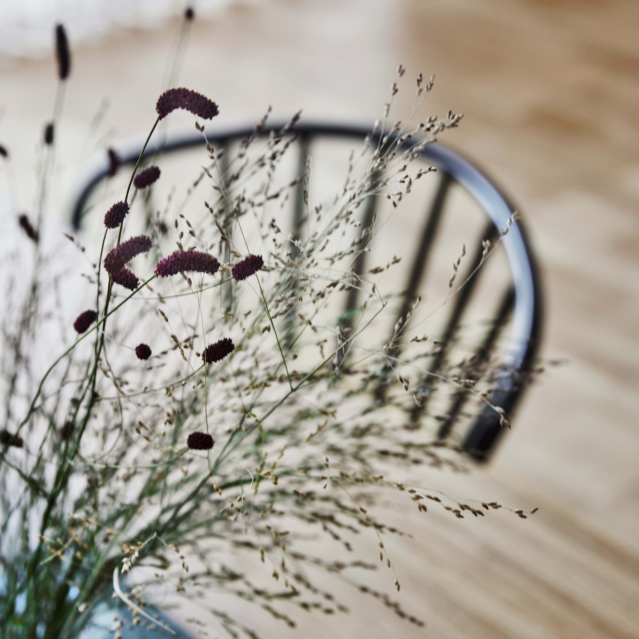 Miss Holly Stol Ask från Vålamagasinet Matstolar, Stolab, Image-4