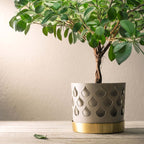 Trio Drop Medium från Vålamagasinet Krukor och vaser, Klong, Image-2