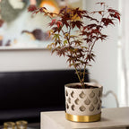 Trio Drop Liten från Vålamagasinet Krukor och vaser, Klong, Image-4