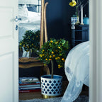 Trio Drop Stor från Vålamagasinet Krukor och vaser, Klong, Image-3