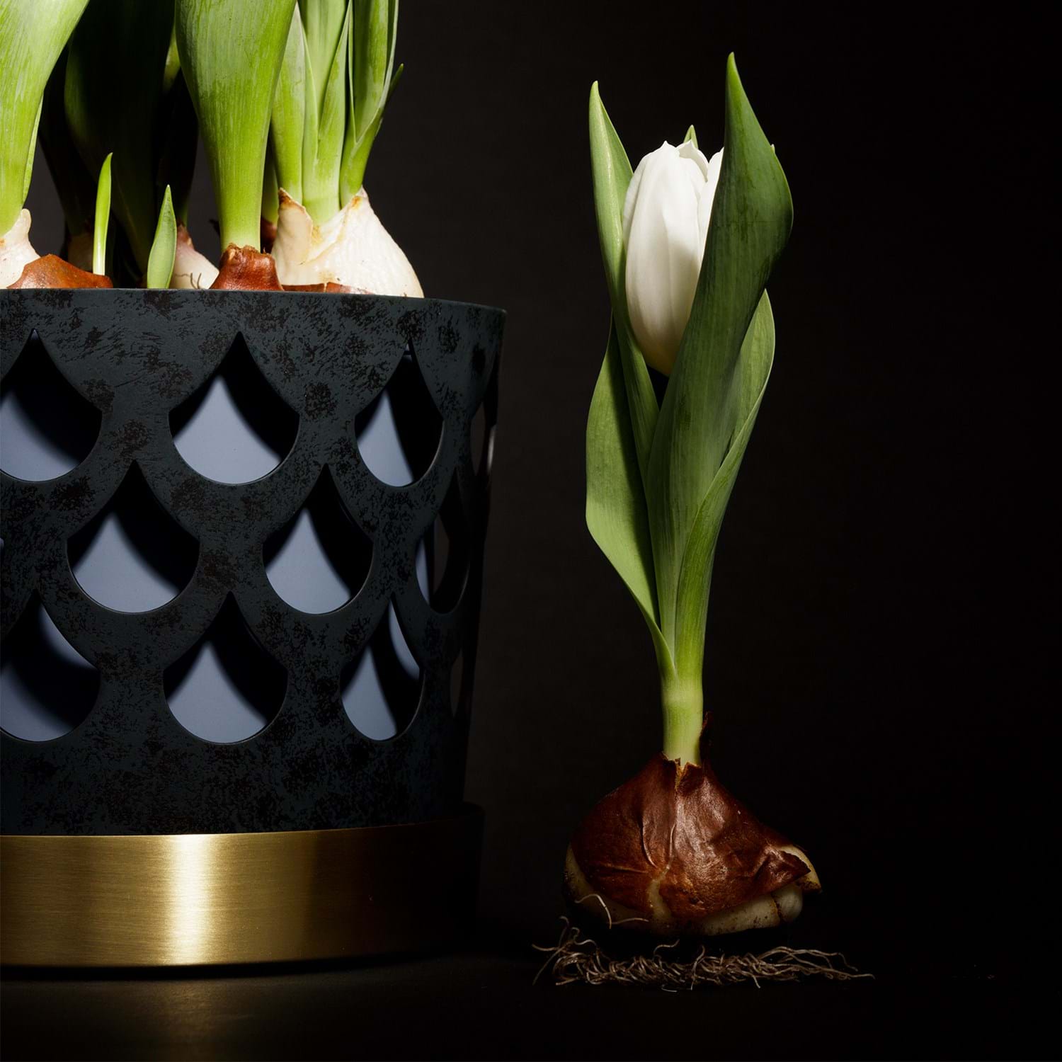 Trio Drop Medium från Vålamagasinet Krukor och vaser, Klong, Image-3