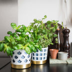 Trio Square Liten från Vålamagasinet Krukor och vaser, Klong, Image-4