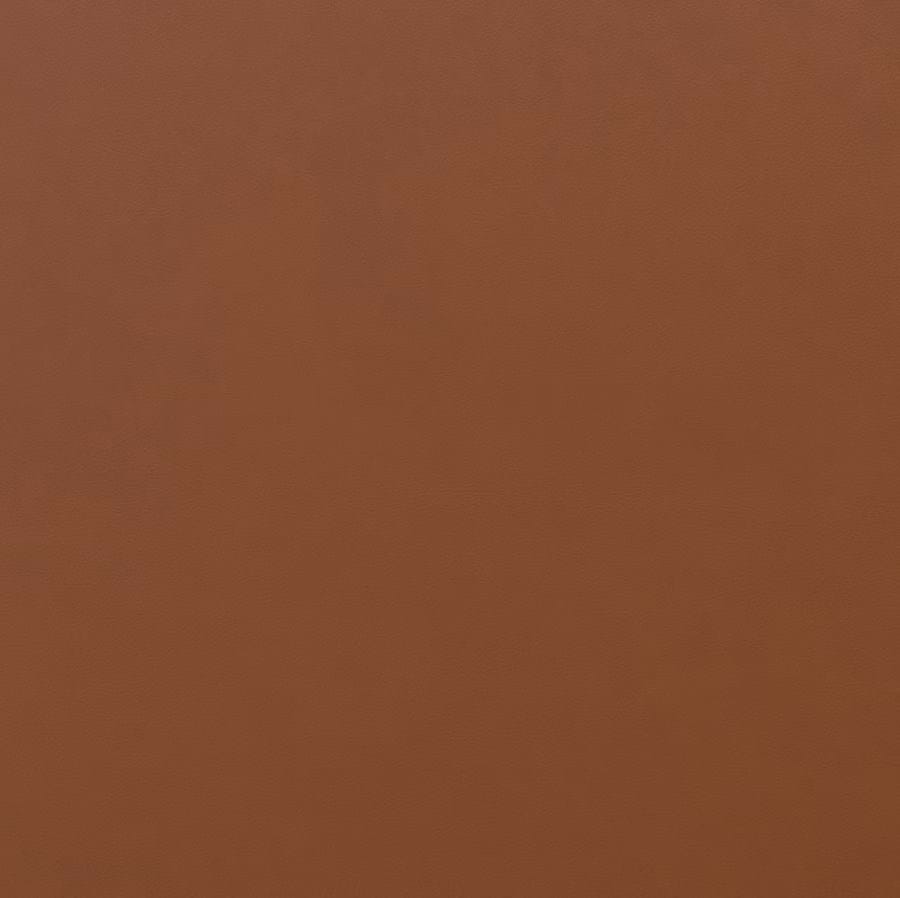 Ägget Fåtölj Läder från Vålamagasinet Fåtöljer, Fritz Hansen, Image-1