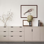 Aoko Skåp från Vålamagasinet Skåp och vitrinskåp, Mavis, Image-2