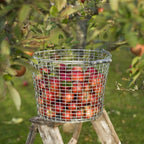 Bucket 16 från Vålamagasinet Småförvaring, Korbo, Image-5