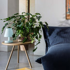 Edison The Ambiance från Vålamagasinet Bordslampor, Fatboy, Image-4