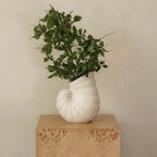 Shell Vase