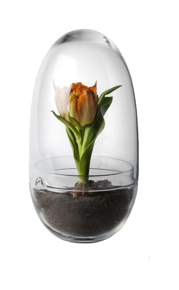 Grow Greenhouse från Vålamagasinet Krukor och vaser, Design House Stockholm, Image-1