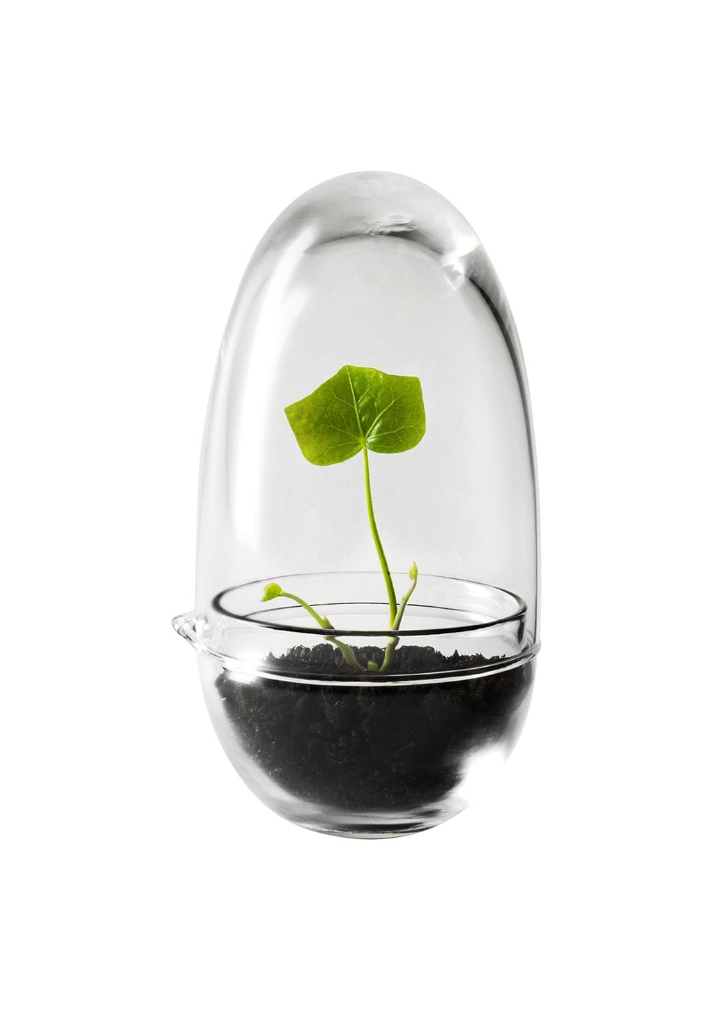 Grow Greenhouse från Vålamagasinet Krukor och vaser, Design House Stockholm, Image-1