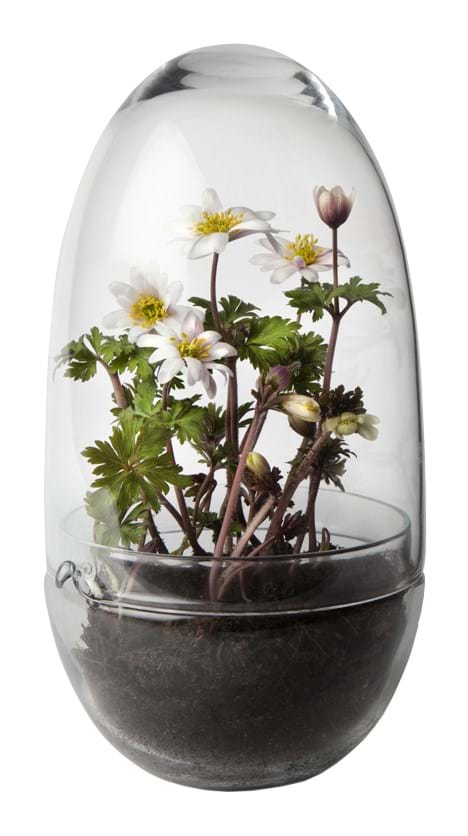 Grow Greenhouse från Vålamagasinet Krukor och vaser, Design House Stockholm, Image-1