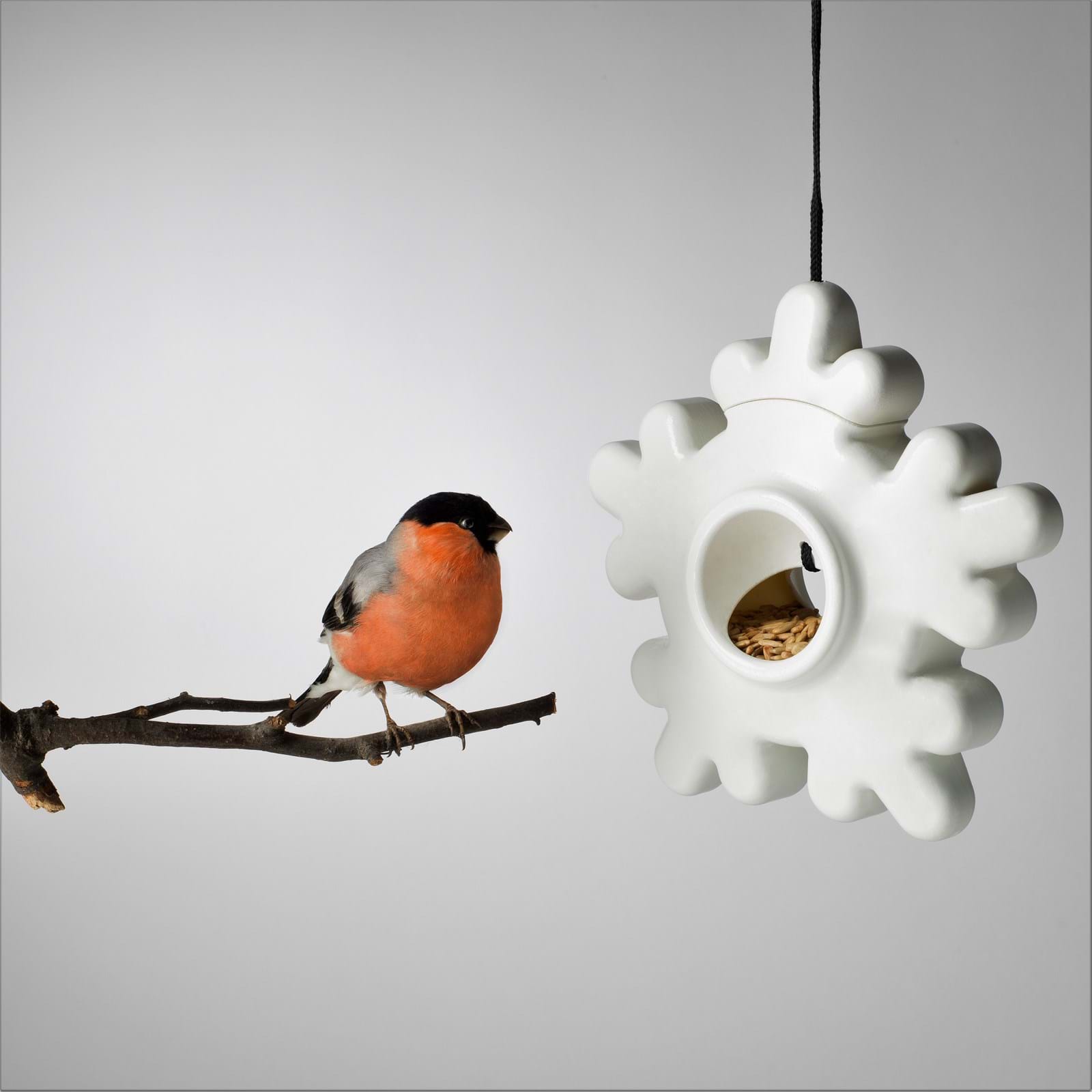 Lumi Birdfeeder från Vålamagasinet Övriga inredningsdetaljer, Design House Stockholm, Image-2