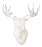 Moo Lamp från Vålamagasinet Vägglampor, Northern, Image-1