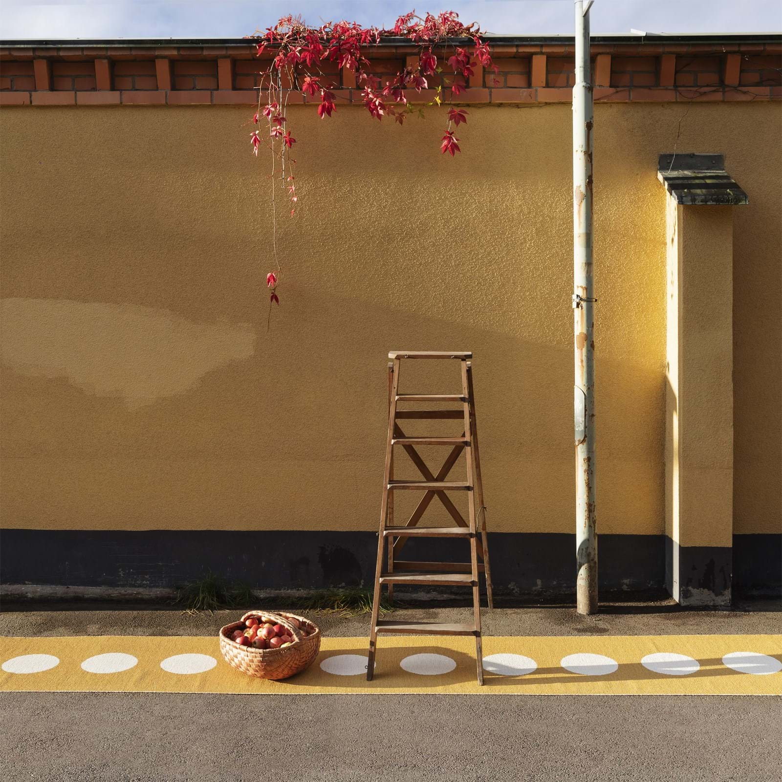 Vera 70x375 cm från Vålamagasinet Plastmattor, Pappelina, Image-8