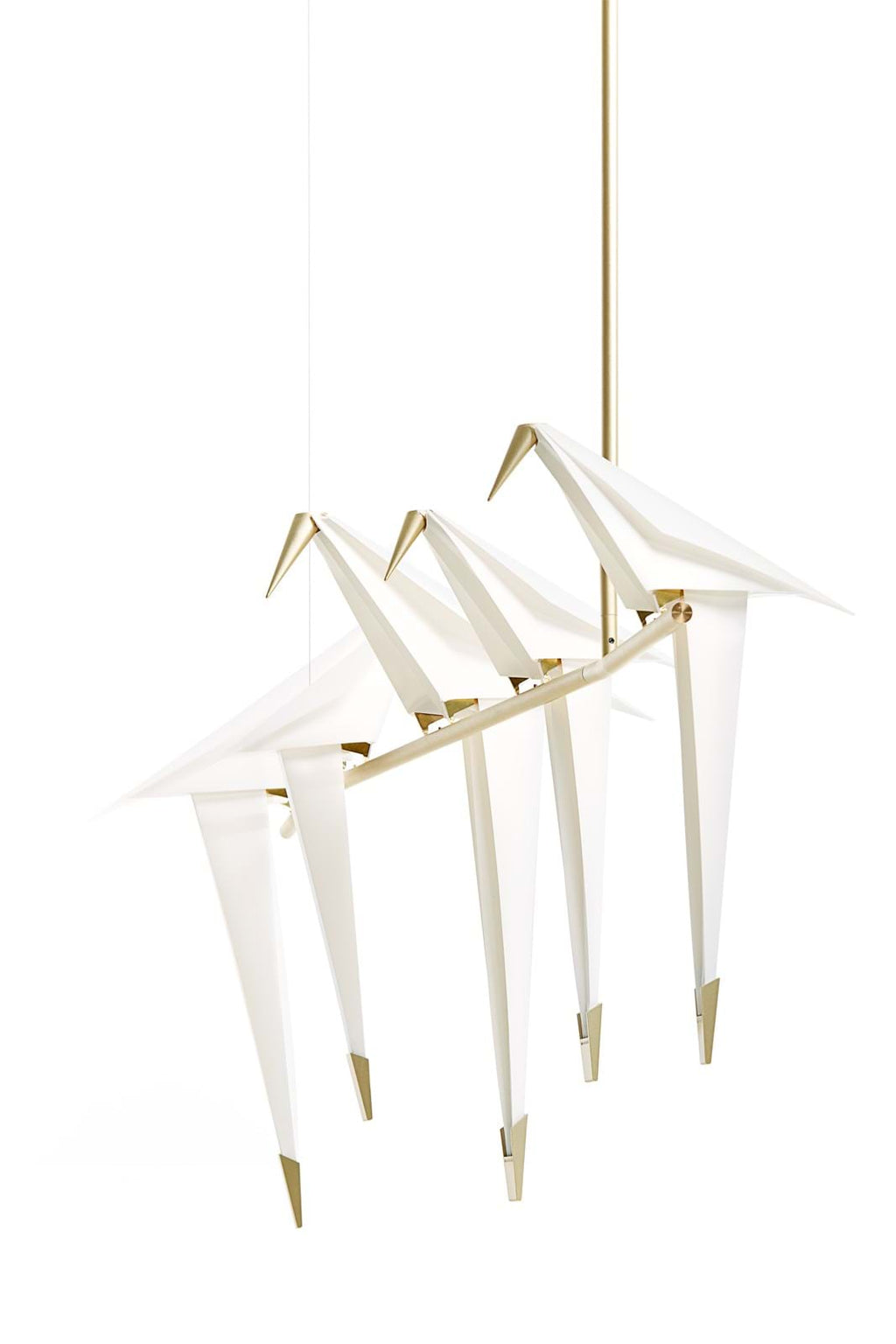Perch Light Branch från Vålamagasinet Taklampor, Moooi, Image-1