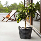 Classic 24 från Vålamagasinet Småförvaring, Korbo, Image-2