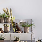 String Ryggskiva Galvaniserad 58x36 cm från Vålamagasinet Hyllor, String, Image-4