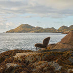 Vipp 469 Lodgefåtölj från Vålamagasinet Fåtöljer, Vipp, Image-7